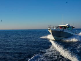 A speedboat cuts through the calm waters, showcasing its sleek design and dynamic movement — perfect for fishing adventures or leisurely cruises.