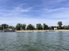 A view of a waterfront area with trees and structures, but the image lacks clarity and detail.