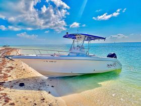 A sleek speedboat named 'Salty Paws' docked on a sandy beach, surrounded by clear turquoise waters — perfect for a day of adventure in Key West.