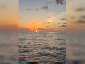 A stunning sunset over the ocean, capturing the serene beauty of the water at dusk — perfect for romantic evening cruises.