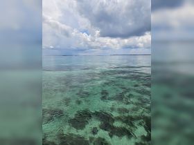 A serene view of calm waters under a cloudy sky, showcasing the natural beauty of the ocean. Ideal for those seeking tranquility and scenic landscapes.