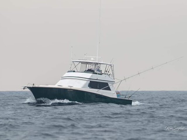 Listing image 1060741