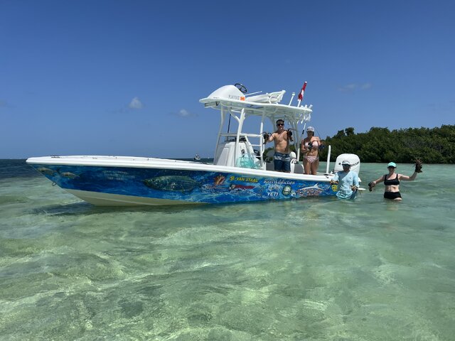 Listing image 1055523