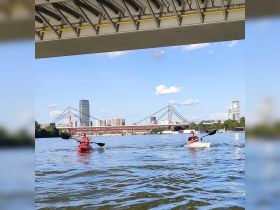 Two kayakers paddle through a scenic urban waterway, showcasing the vibrant city skyline and a perfect day for outdoor adventures.