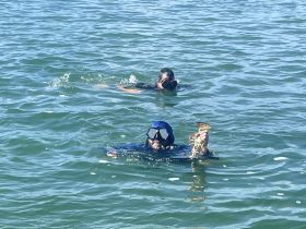 Two snorkelers enjoy an underwater adventure, with one proudly holding a lobster — a thrilling experience in the open water.