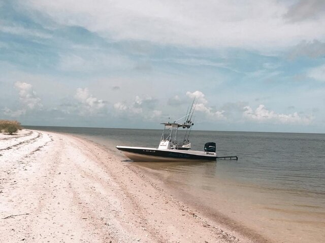 Listing image 1057065
