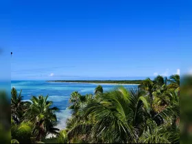 A stunning view of a tropical coastline with clear turquoise waters and lush palm trees, perfect for showcasing the beauty of island destinations.