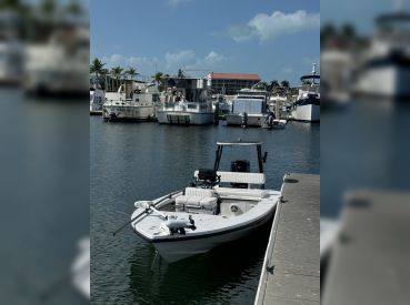 Purple Heron Charters