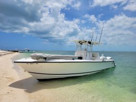 A sleek speedboat rests on the sandy shore, showcasing its design against a backdrop of clear waters and a vibrant sky — perfect for a day of adventure on the water.