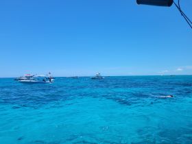 A vibrant scene of snorkeling in crystal-clear turquoise waters, with multiple boats in the background, showcasing the excitement of water activities.