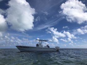 A sleek speedboat anchored in calm waters under a beautiful sky, showcasing the perfect setting for a day on the water.