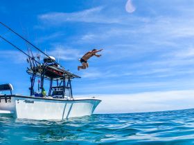 A person leaps off a fishing boat into the clear blue waters, capturing the thrill of summer adventures and on-water fun.