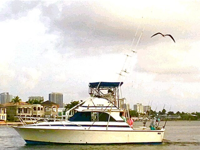 Listing image 1058743
