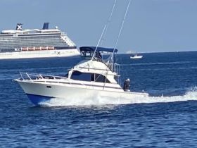 A sleek speedboat navigates the open waters, showcasing its dynamic design and performance against a backdrop of a cruise ship.