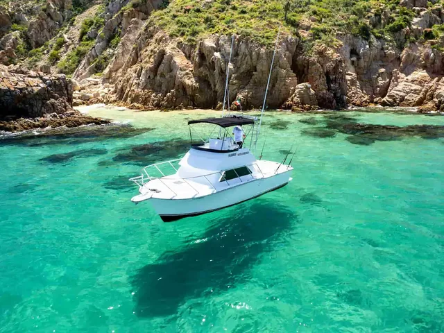 Listing image 1055795