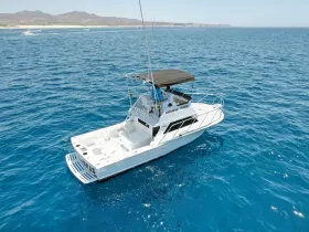 Aerial view of a sleek speedboat cruising through vibrant blue waters, perfect for fishing trips or coastal adventures.