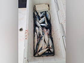 A cooler filled with a successful catch of fish, showcasing the rewards of a day spent fishing on the water.