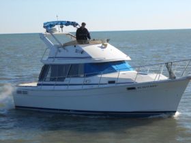 Charter Image