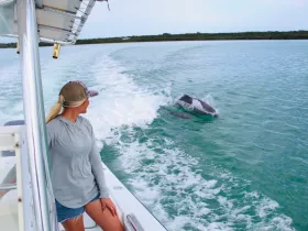 A woman enjoys a close encounter with dolphins swimming alongside her boat, showcasing the beauty of marine wildlife in their natural habitat.