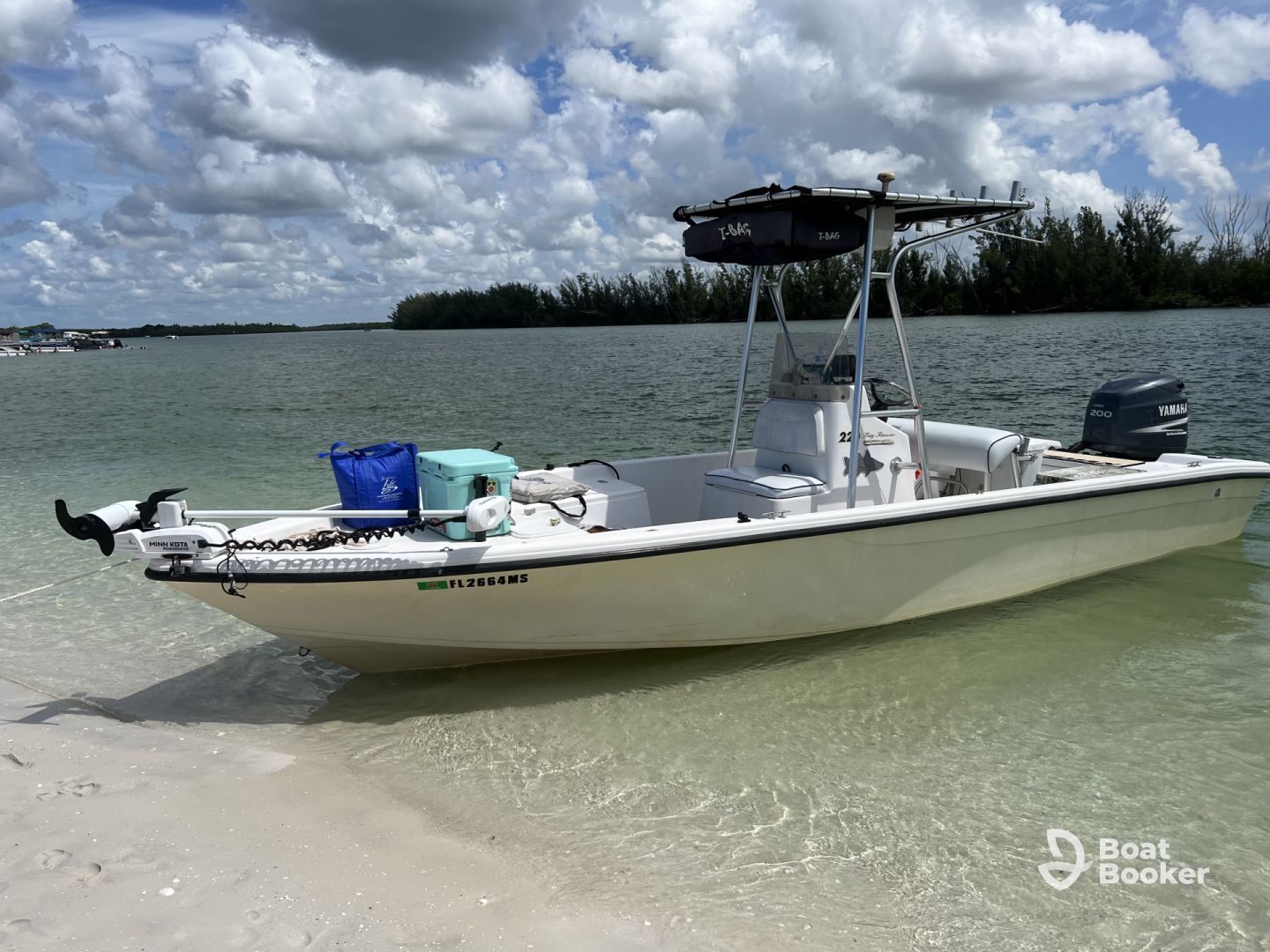 Artistic Angler Charters