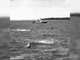 A captivating scene of whales swimming near a boat, showcasing the beauty of marine wildlife in their natural habitat.