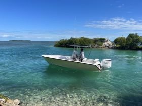 A boat navigates through crystal-clear waters, showcasing a beautiful tropical landscape — perfect for exploring the serene coastal environment.