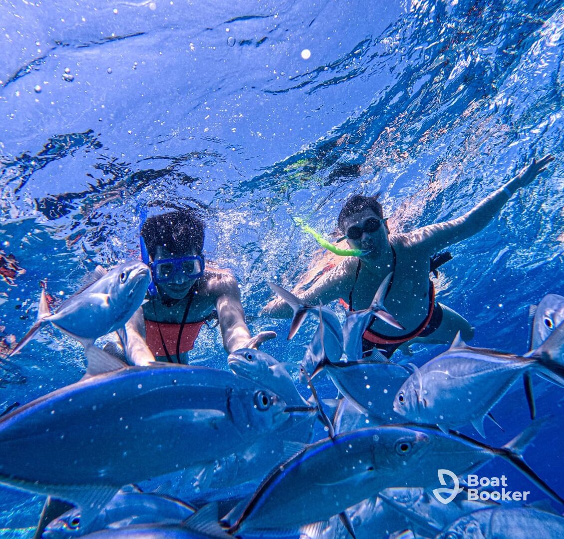 Abrimar Snorkeling Adventures Cozumel