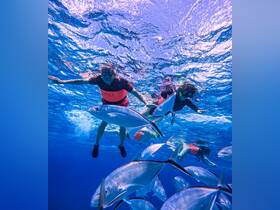 Two snorkelers interact with a school of fish in vibrant blue waters, showcasing the thrill of underwater exploration and marine life encounters.