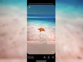 A vibrant starfish rests on the sandy ocean floor, showcasing the beauty of underwater wildlife in a serene marine environment.