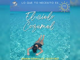 A snorkeler enjoys the crystal-clear waters of Cozumel, showcasing the vibrant marine life and adventure opportunities in this tropical paradise.