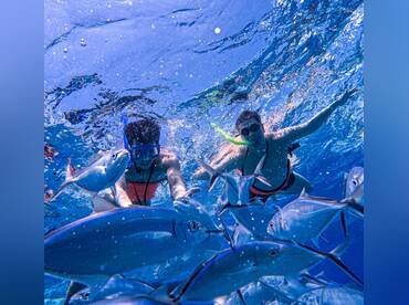 Abrimar Snorkeling Adventures Cozumel