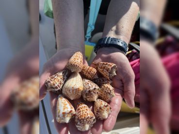 JP's Shelling & Eco Tours