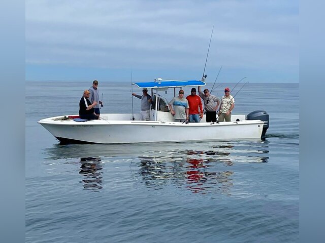 Listing image 1057669