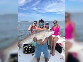 A group of friends celebrates a successful fishing trip, showcasing a large catch on the boat — a perfect moment of camaraderie and adventure on the water.