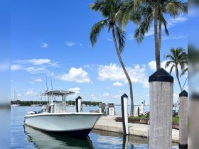 A sleek speedboat docked at a marina, surrounded by palm trees and a clear blue sky, perfect for a day out on the water.