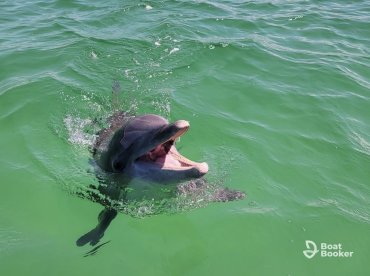 Island Time Family Eco Tour/Fishing Charters