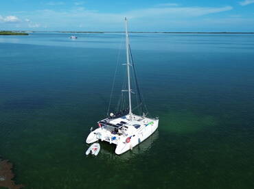 Sailing Primal - Veteran Owned