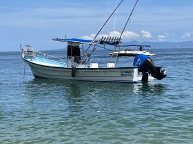 A picturesque view of a fishing boat anchored in calm waters, showcasing its sleek design and vibrant colors against a serene backdrop.