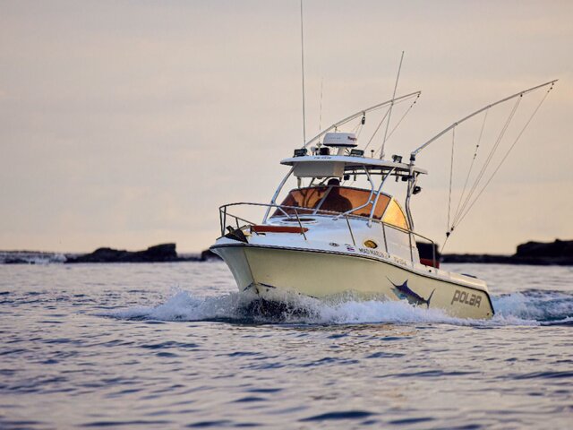 Listing image 1086352