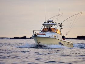 A sleek speedboat navigates through calm waters, showcasing its design and fishing gear — perfect for adventurous outings on the sea.