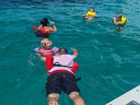 A lively group enjoys snorkeling in crystal-clear waters, showcasing the fun and adventure of underwater exploration.
