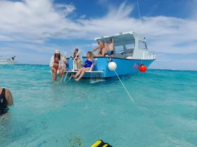 A lively group enjoys a fun day on the water, with some relaxing on the boat and others swimming in the clear turquoise sea — perfect for a beach getaway.