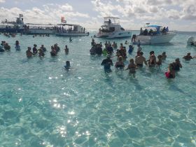A lively gathering of guests enjoying a fun day in the shallow turquoise waters, surrounded by boats — perfect for beach parties and water activities.