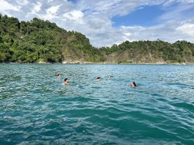 A group of friends enjoys a refreshing swim in clear turquoise waters, surrounded by lush greenery — a perfect highlight of their aquatic adventure.