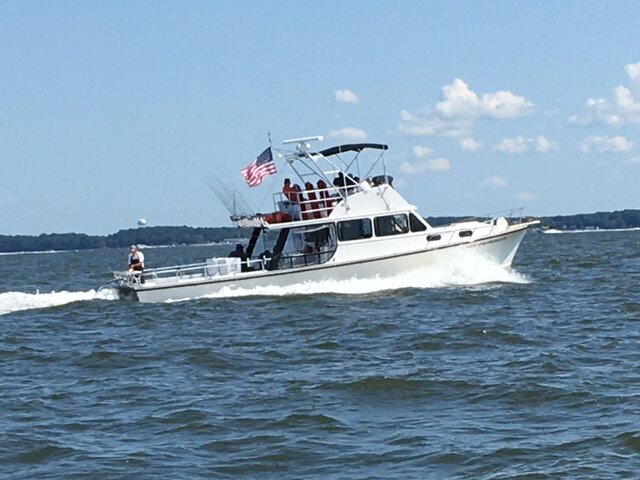 Listing image 1056551