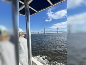 A scenic view from a boat showcasing a stunning bridge against a clear blue sky, perfect for capturing memorable moments on the water.