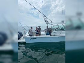 Charter Image