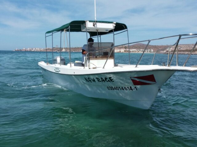Listing image 1056894