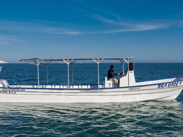 Listing image 1056898
