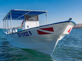 The 'Sea Rage II' boat is captured in motion, showcasing its sleek design against a clear blue sky and tranquil waters, perfect for fishing or leisure trips.